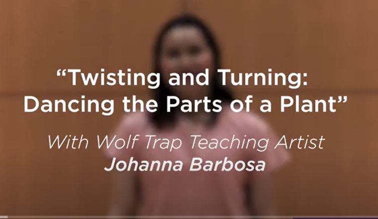 Twisting and Turning: Dancing the Parts of a Plant